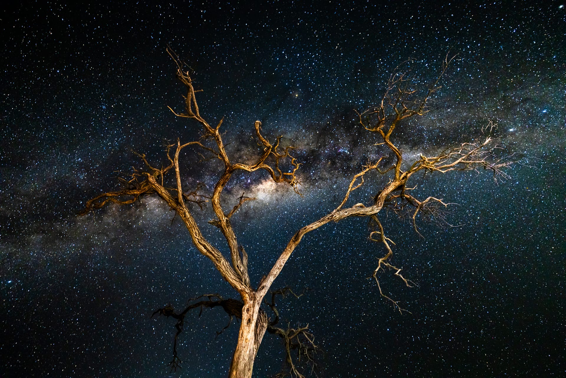 Safari itinérant sous tente au Botswana : le meilleur du Kalahari