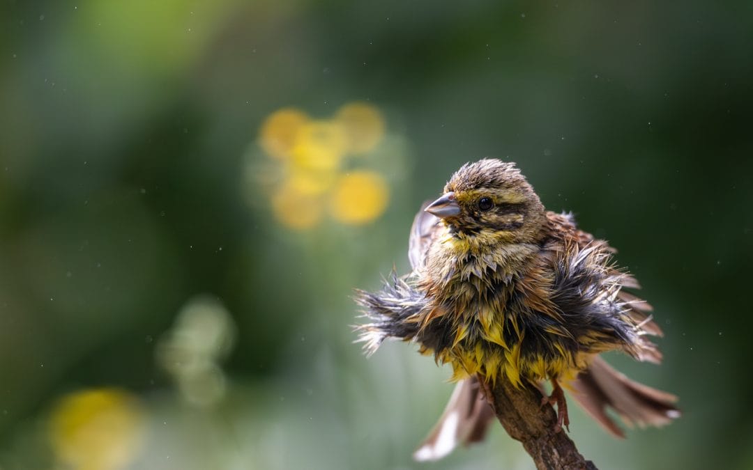 Apprendre à utiliser son appareil photo en 2026
