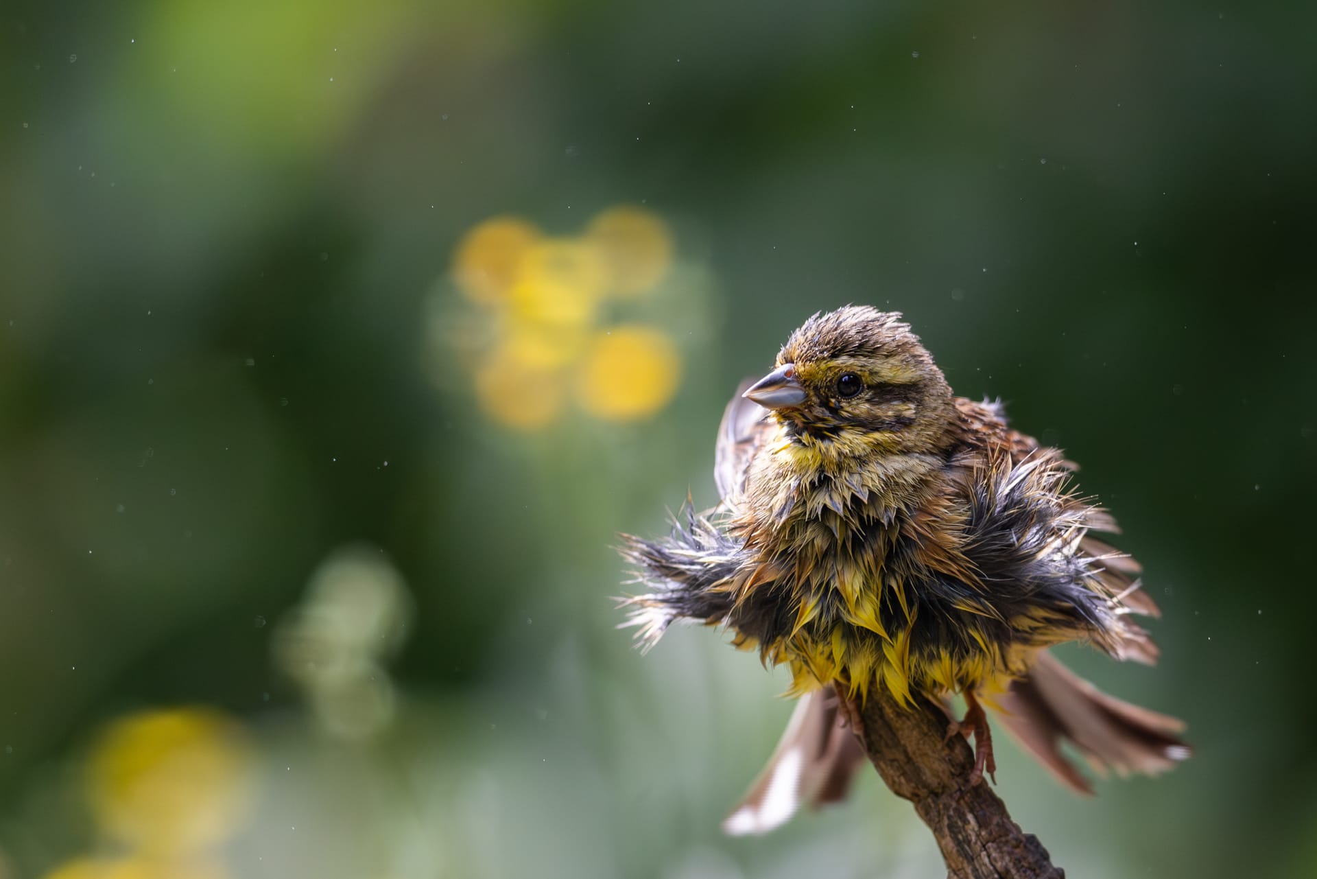 Stage photo en Alsace