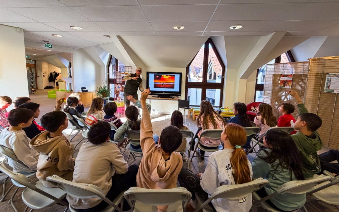 Conférences pour la Fondation Bès
