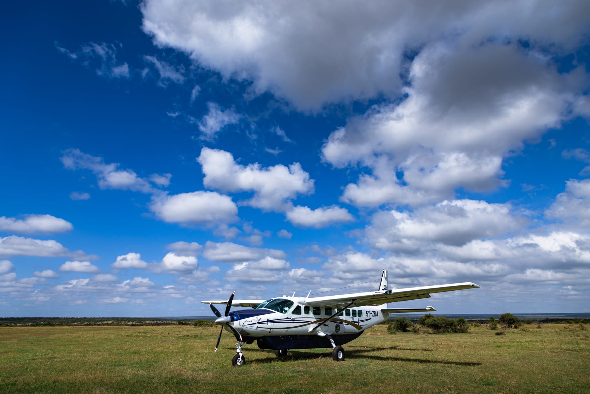 Fly-in safari au Kenya à Samburu, Masaï Mara et Tsavo